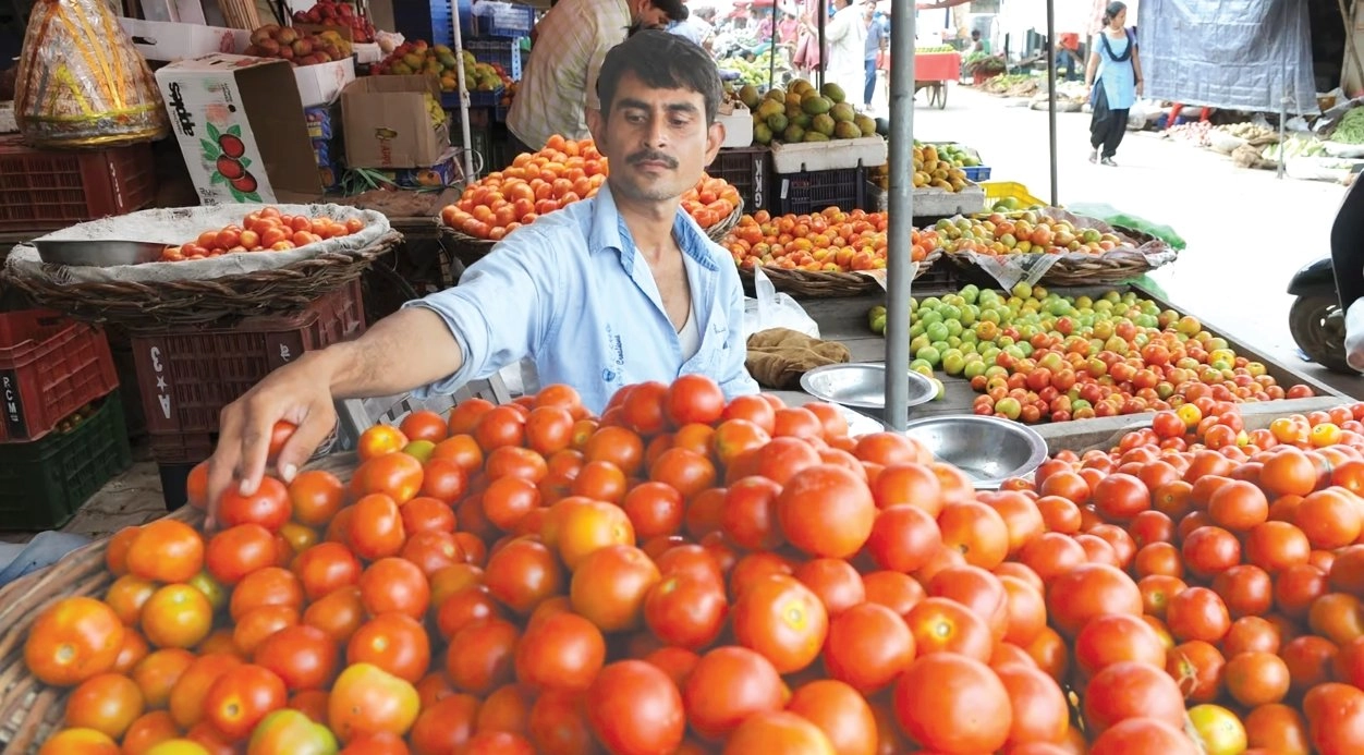 tomato arket