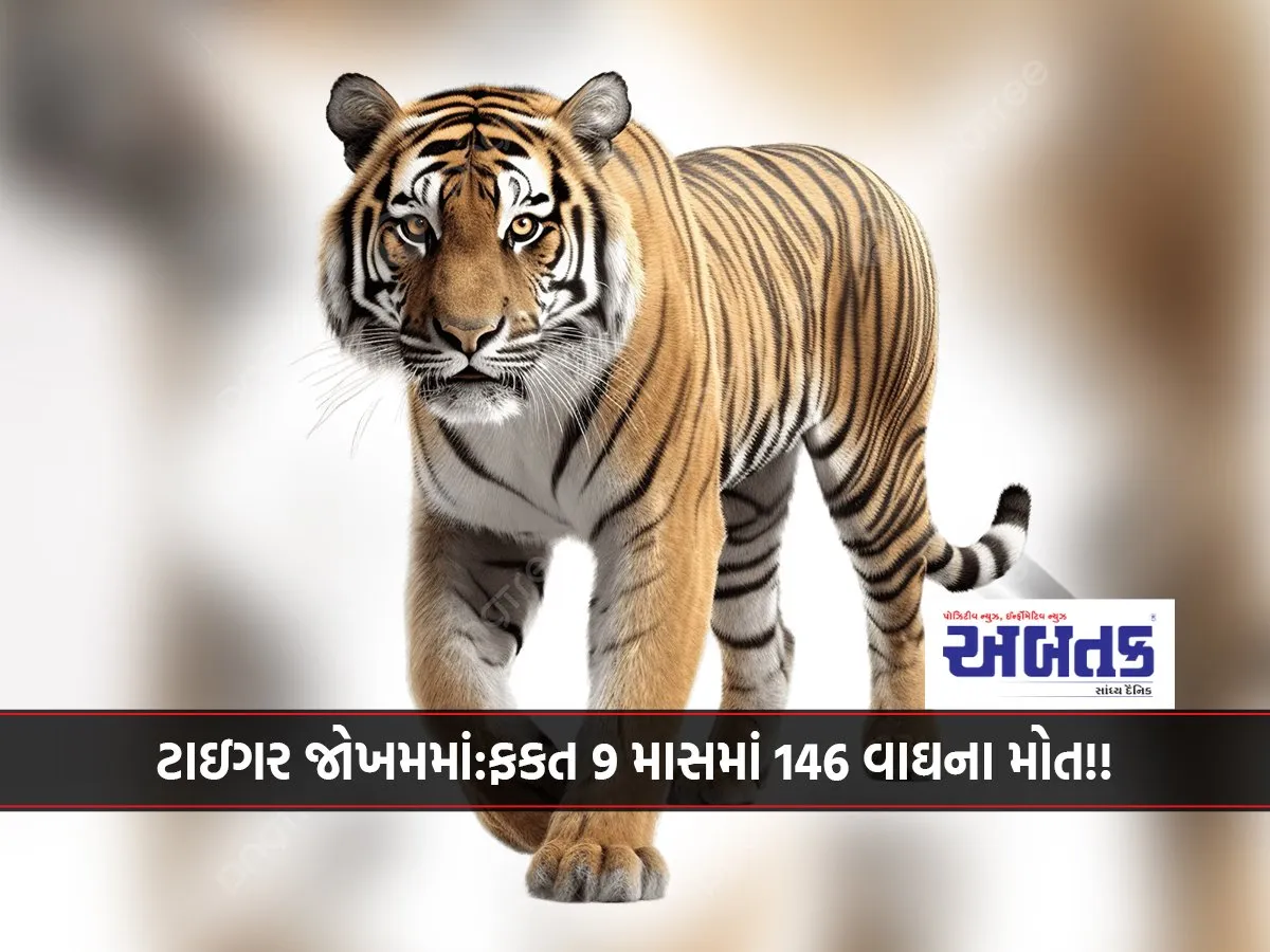 Tiger In Danger: 146 Tigers Died In Just 9 Months!!