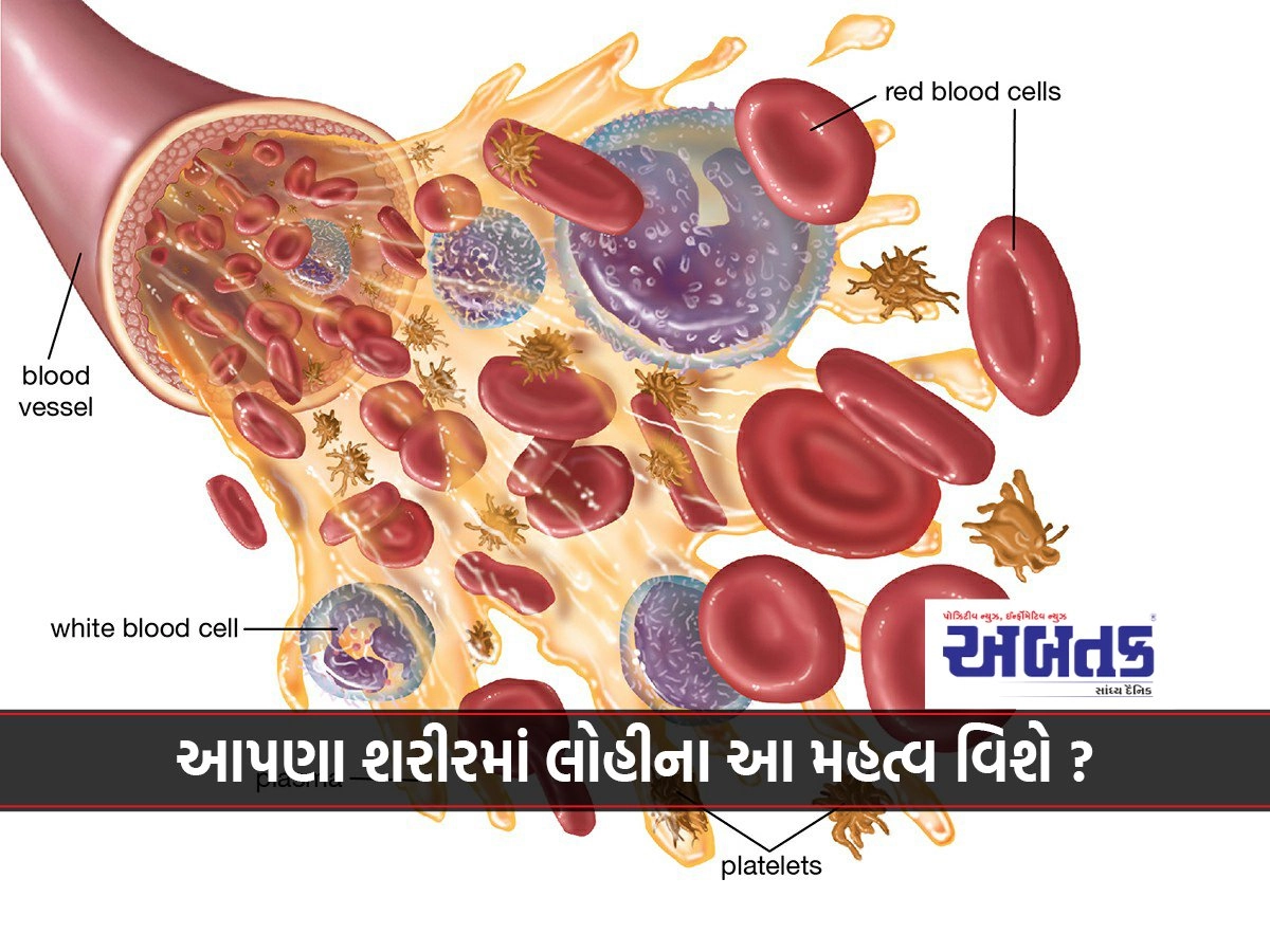 Do you know about the importance of blood in our body?