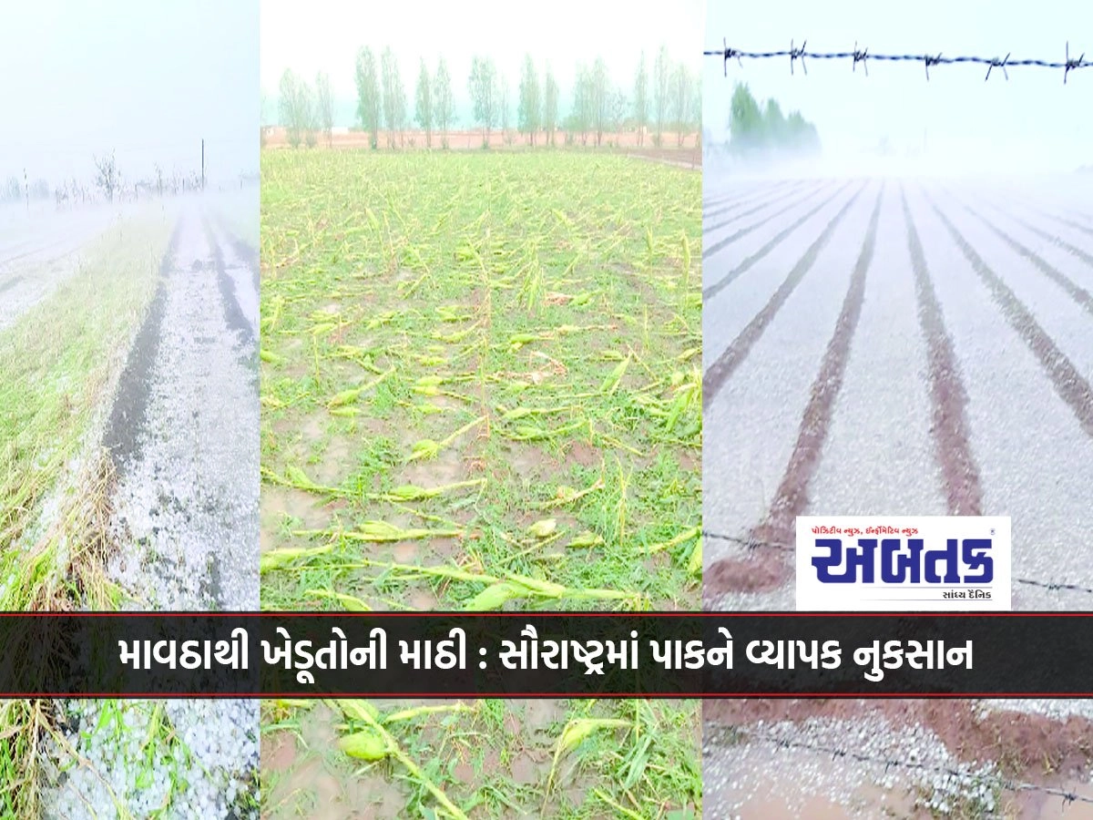 Mawtha to Farmers' Mathi: Widespread crop damage in Saurashtra