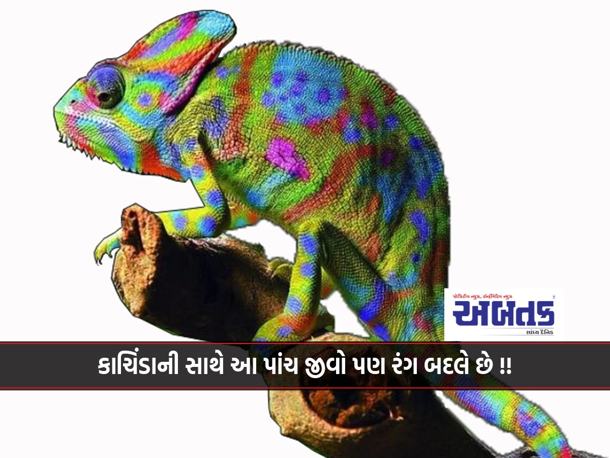 Which five animals in the world can change their color except kanchida?