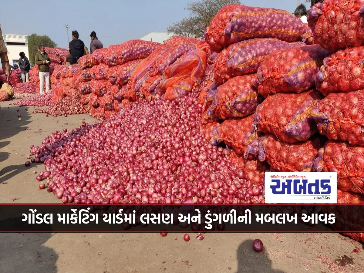 Massive revenue of garlic and onion in Gondal marketing yard, due to lack of space in the yard, revenue of onion is stopped for two days.