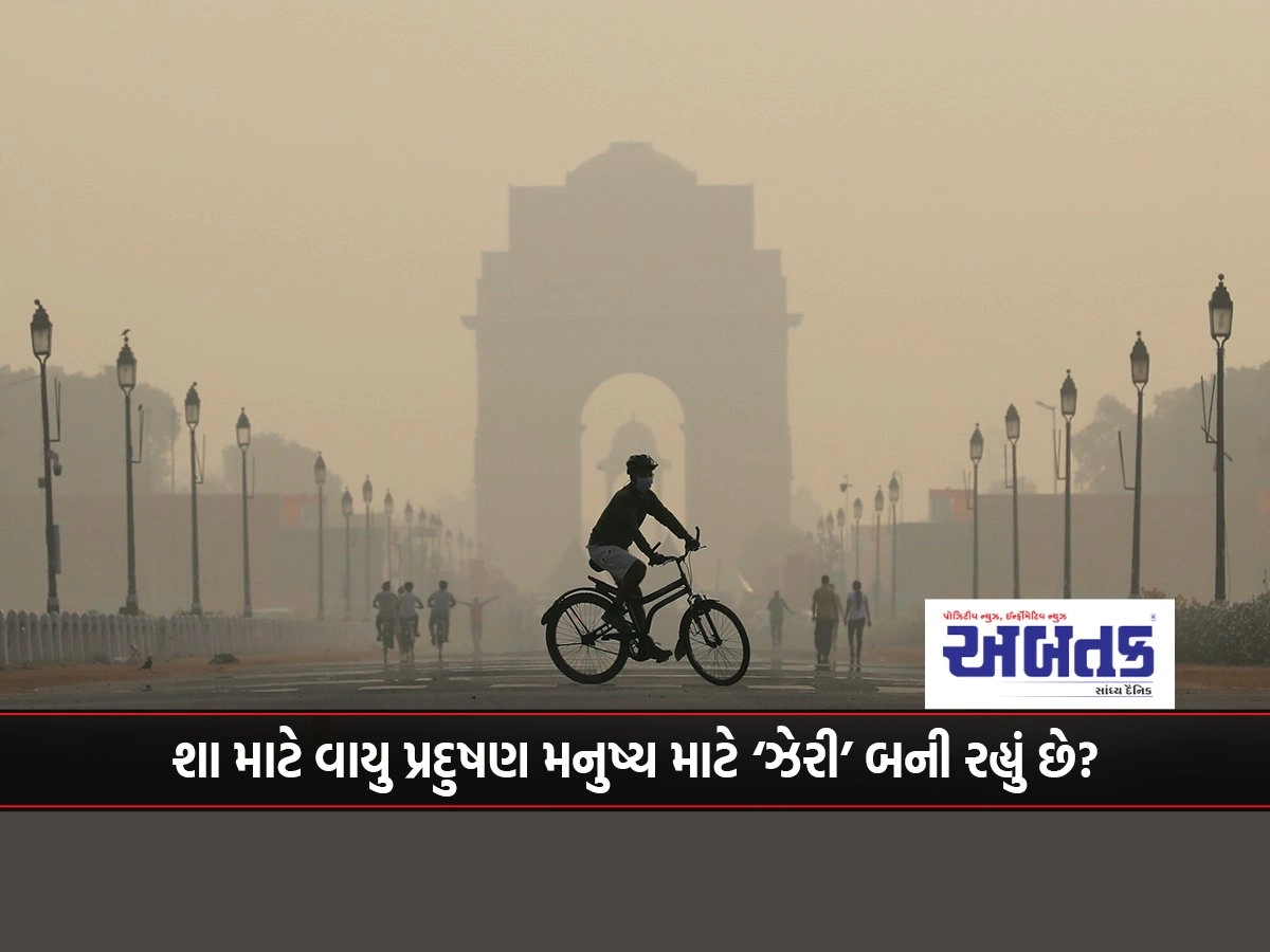 Why is air pollution becoming 'poisonous' to humans?