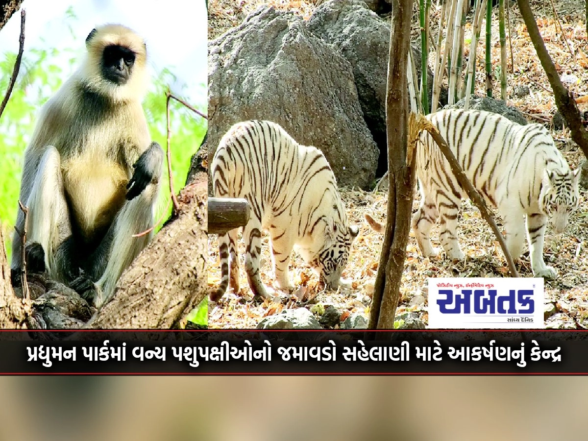 Pradyuman Park is a center of attraction for the wild animals and birds