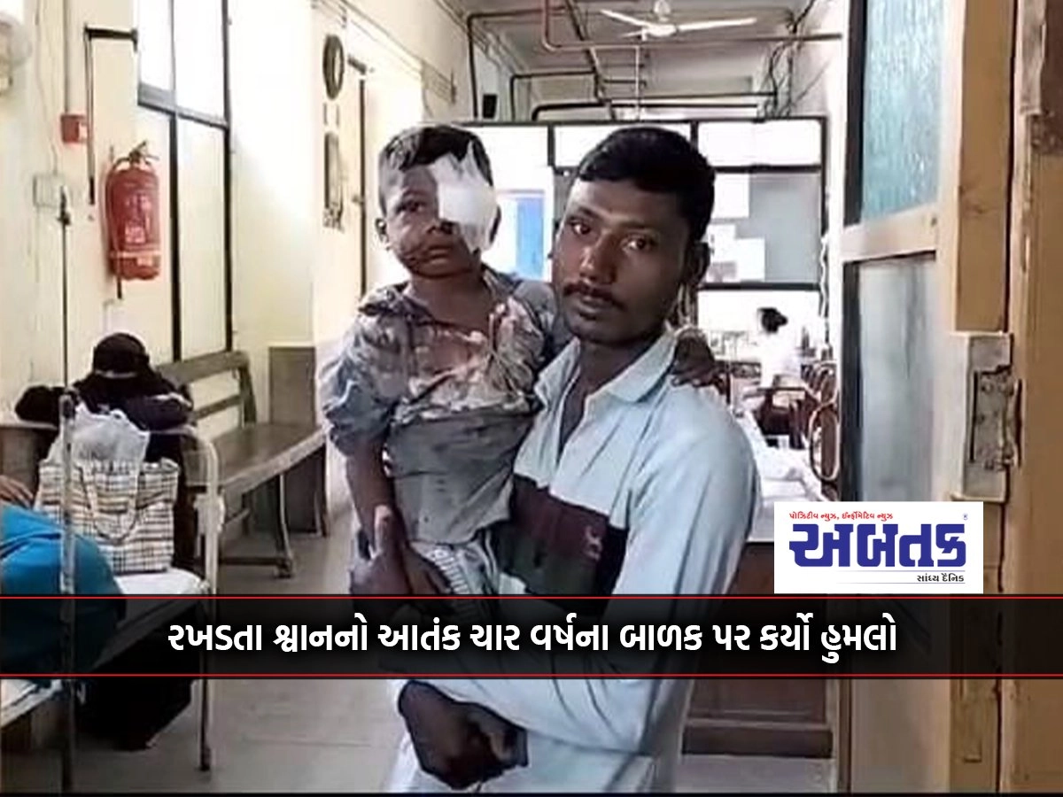 A four-year-old child was attacked by stray dogs in Halar district