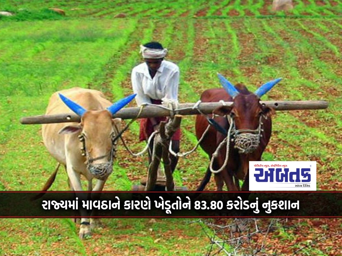 83.80 crore loss to farmers due to drought in the state