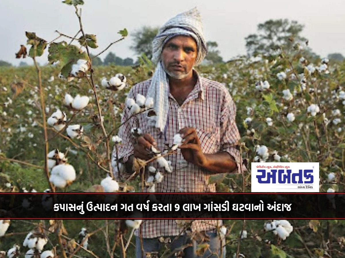 Cotton production estimated to decrease by 9 lakh bales from last year