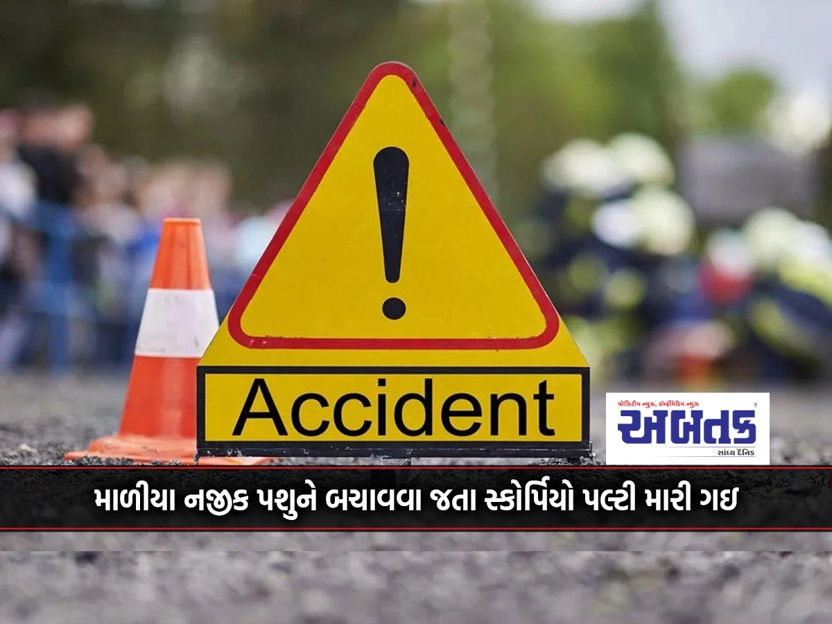 Scorpio overturns while trying to save cattle near Maliya: Rajkot youth dies