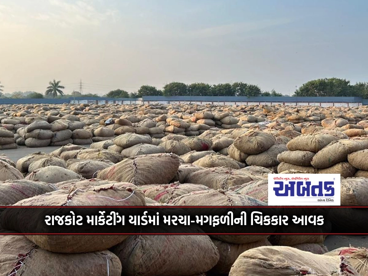 Chilli-groundnut yield in Rajkot marketing yard