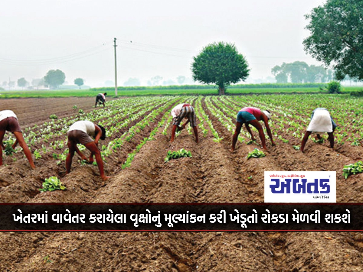 Farmers will be able to get cash by doing necessary assessment of the trees planted in the field