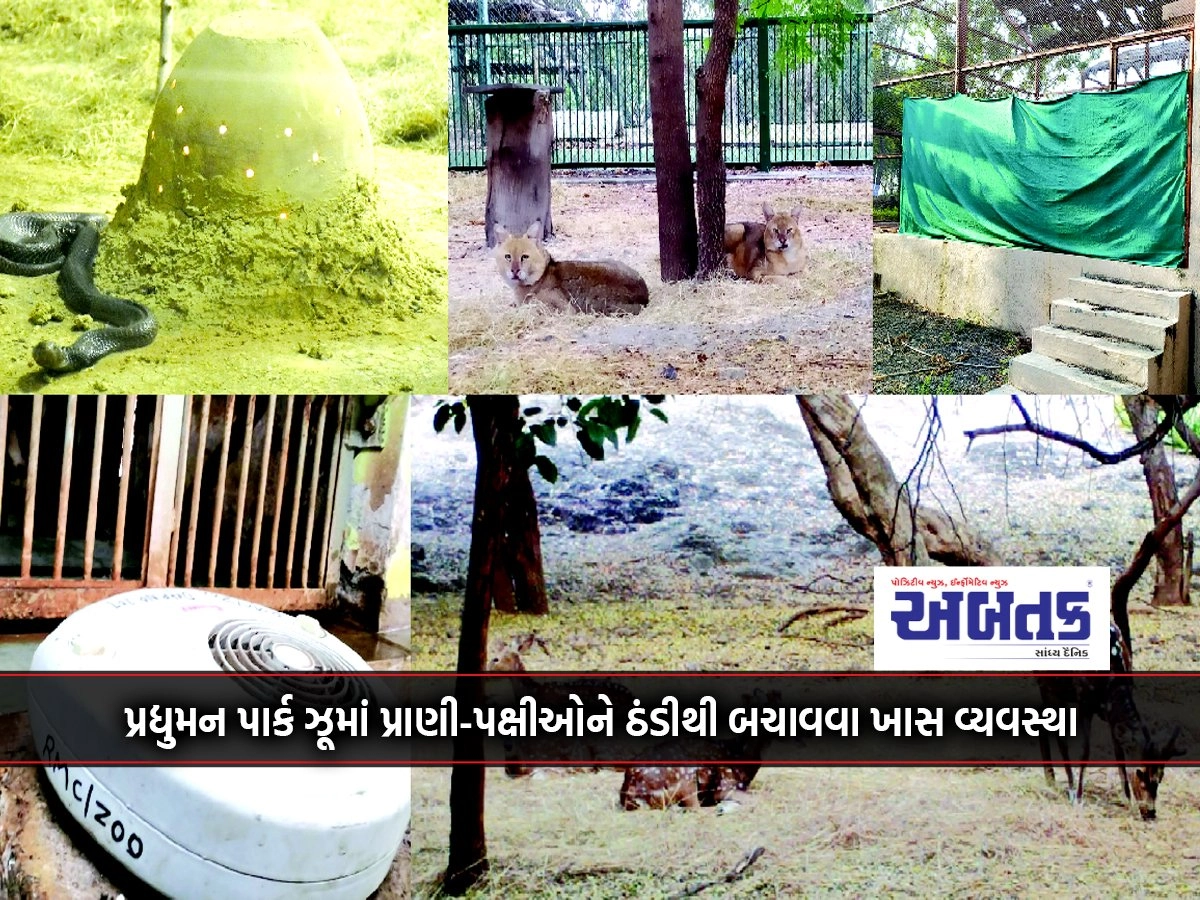 Special arrangement to protect animals and birds from cold in Pradyuman Park Zoo