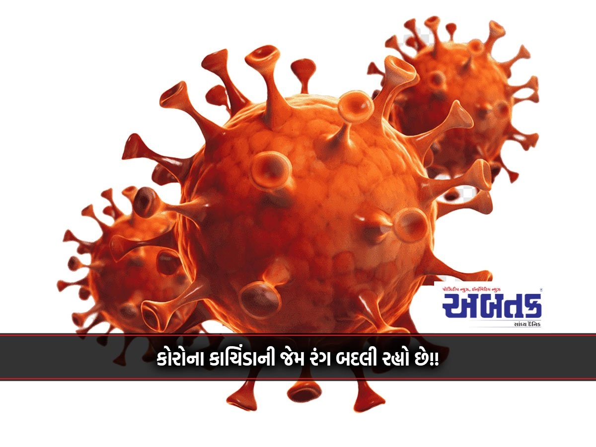 Despite Gujarat's share of 33% in the new variant of Corona, hospitalization is negligible