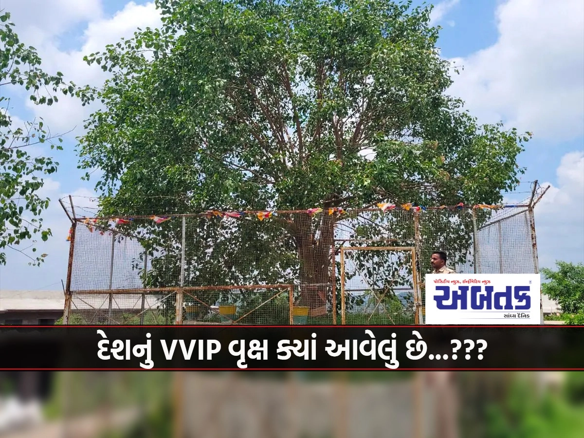 vvip tree