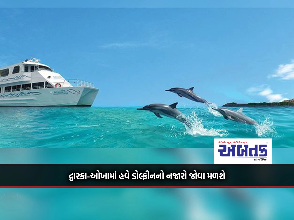 Dolphins will now be seen in Dwarka-Okha