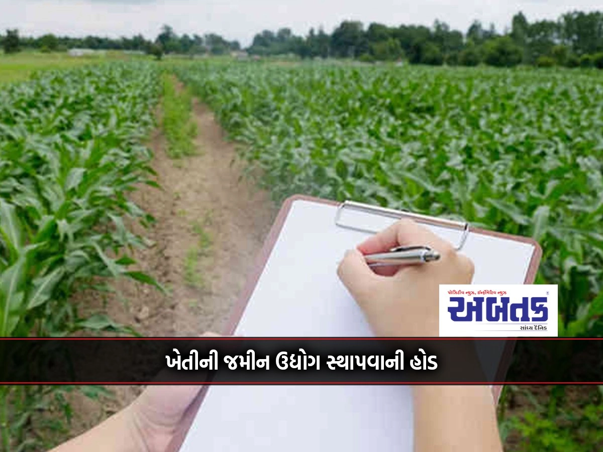 In Rajkot district, half of 1.02 crore sq.m. land became uncultivated in 2023!!!