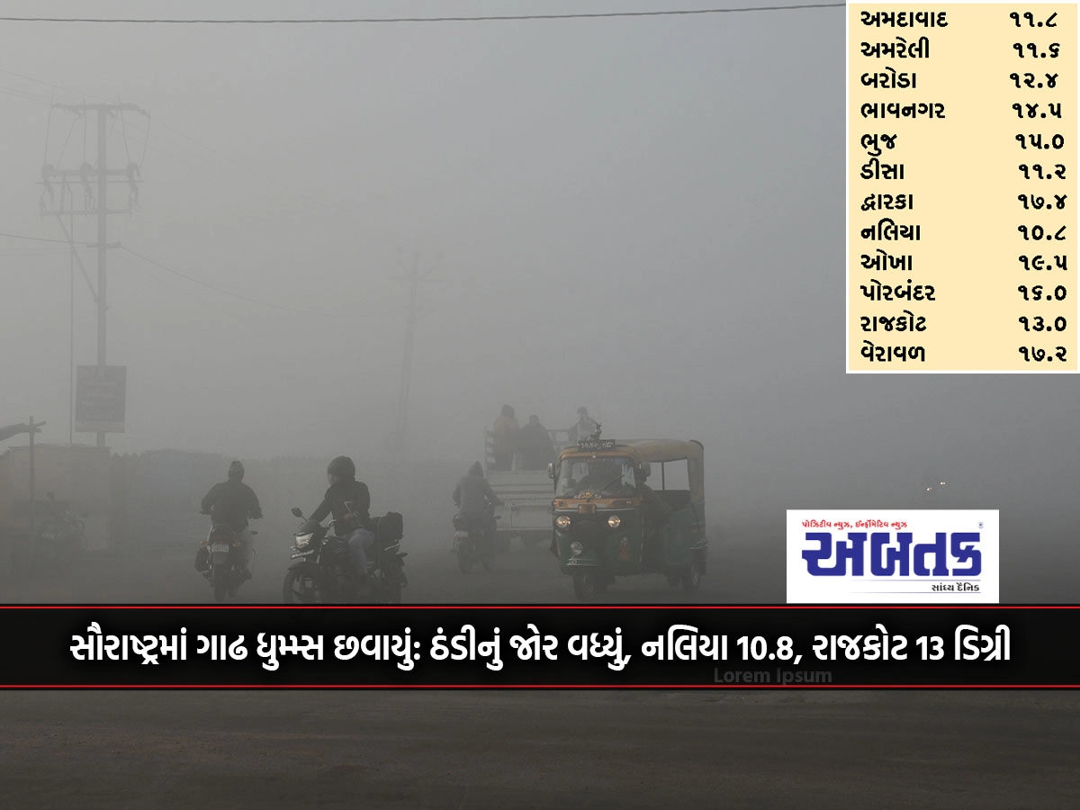 Dense fog covered Saurashtra: Cold force increased, Nalia 10.8, Rajkot 13 degrees