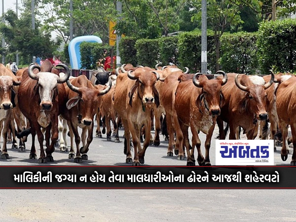 Cattle of the owners who do not have a place of ownership, from today