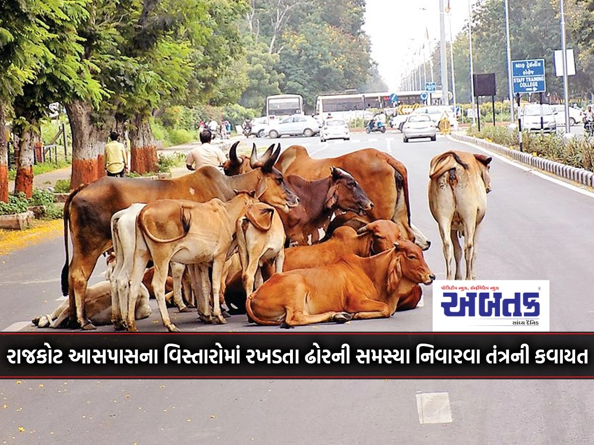 System exercise to tackle the problem of stray cattle in Rajkot surroundings