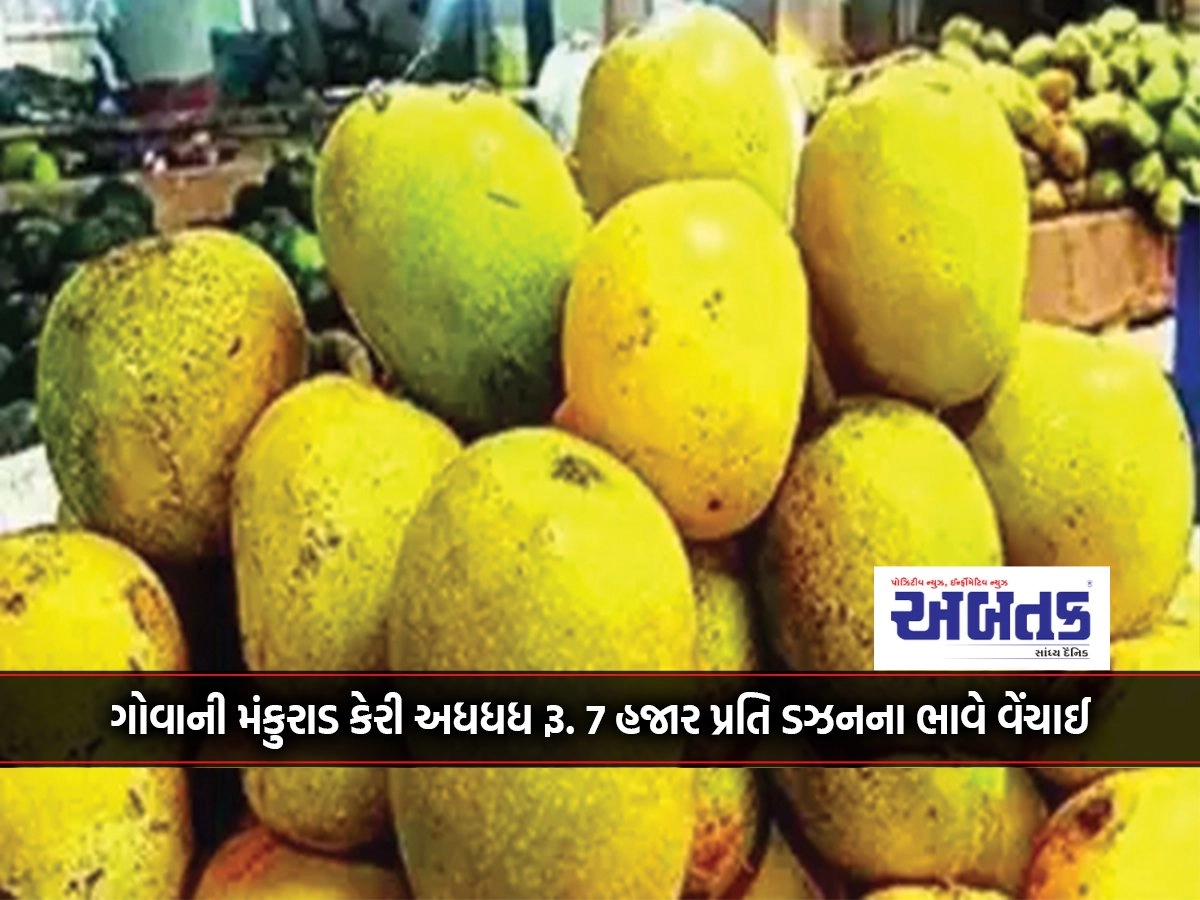 Mankurad mango of Goa costs Rs. 7 thousand per dozen sold