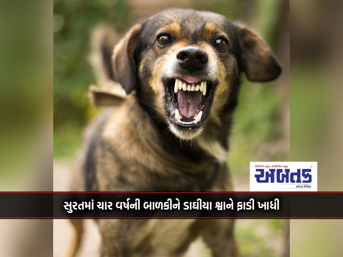 A four-year-old girl was mauled by a spotted dog in Surat