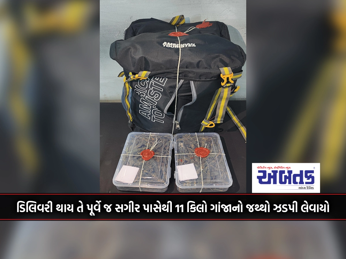 11 kg of ganja was seized from the minor before the delivery