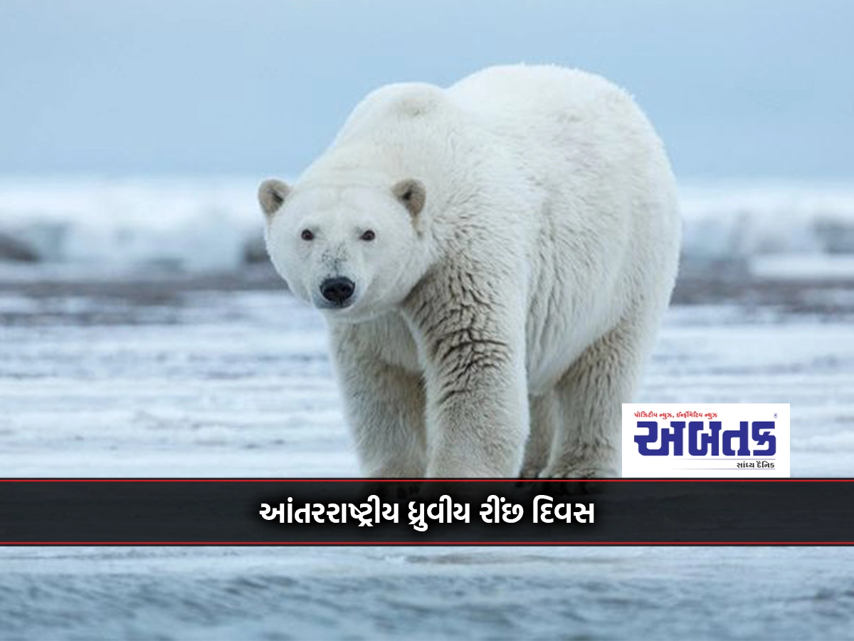 All bears except polar bears are omnivores: can swim 160 kilometers without tiring