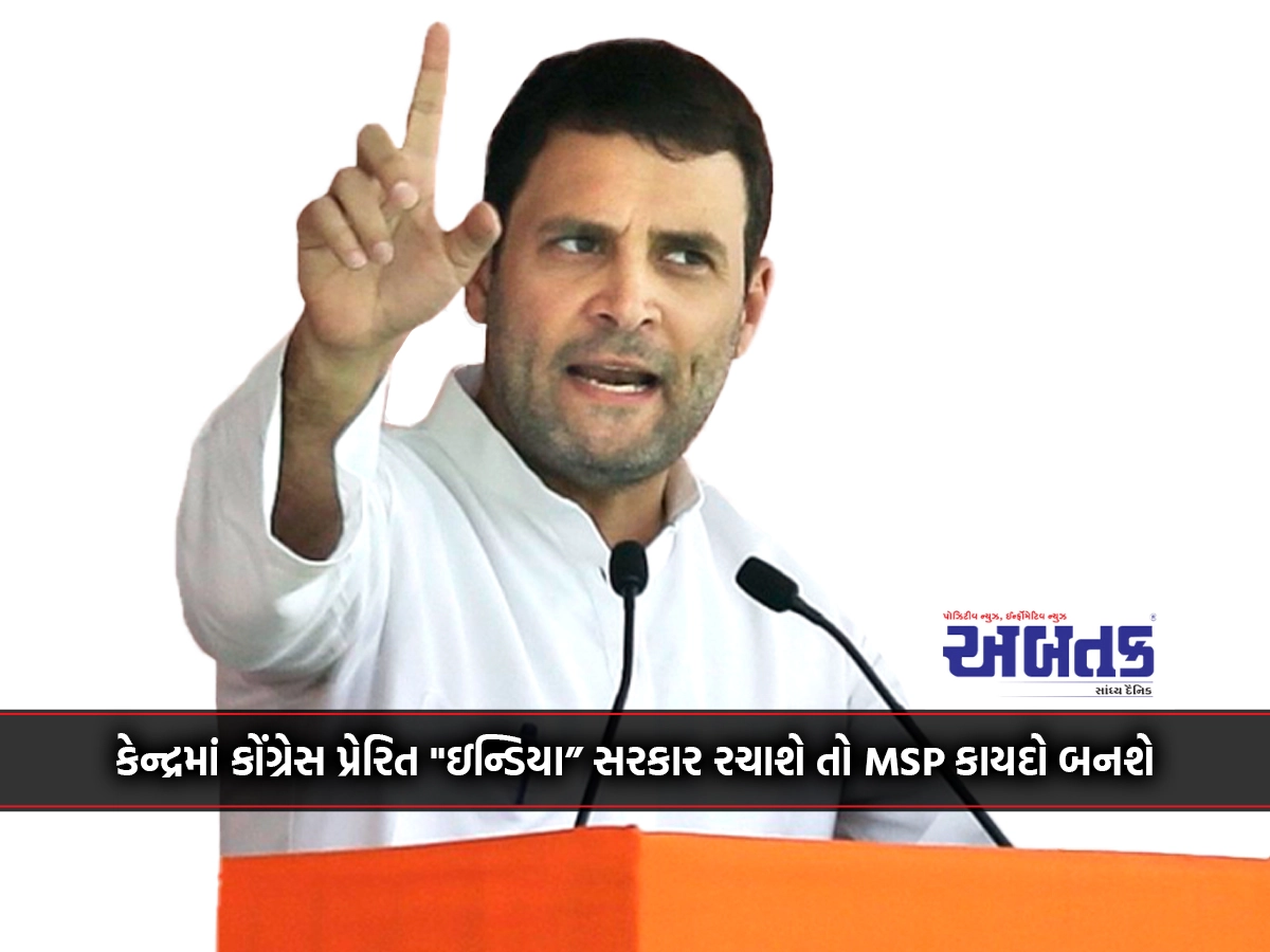 MSP will become law if Congress-inspired "India" government is formed at Centre: Rahul Gandhi