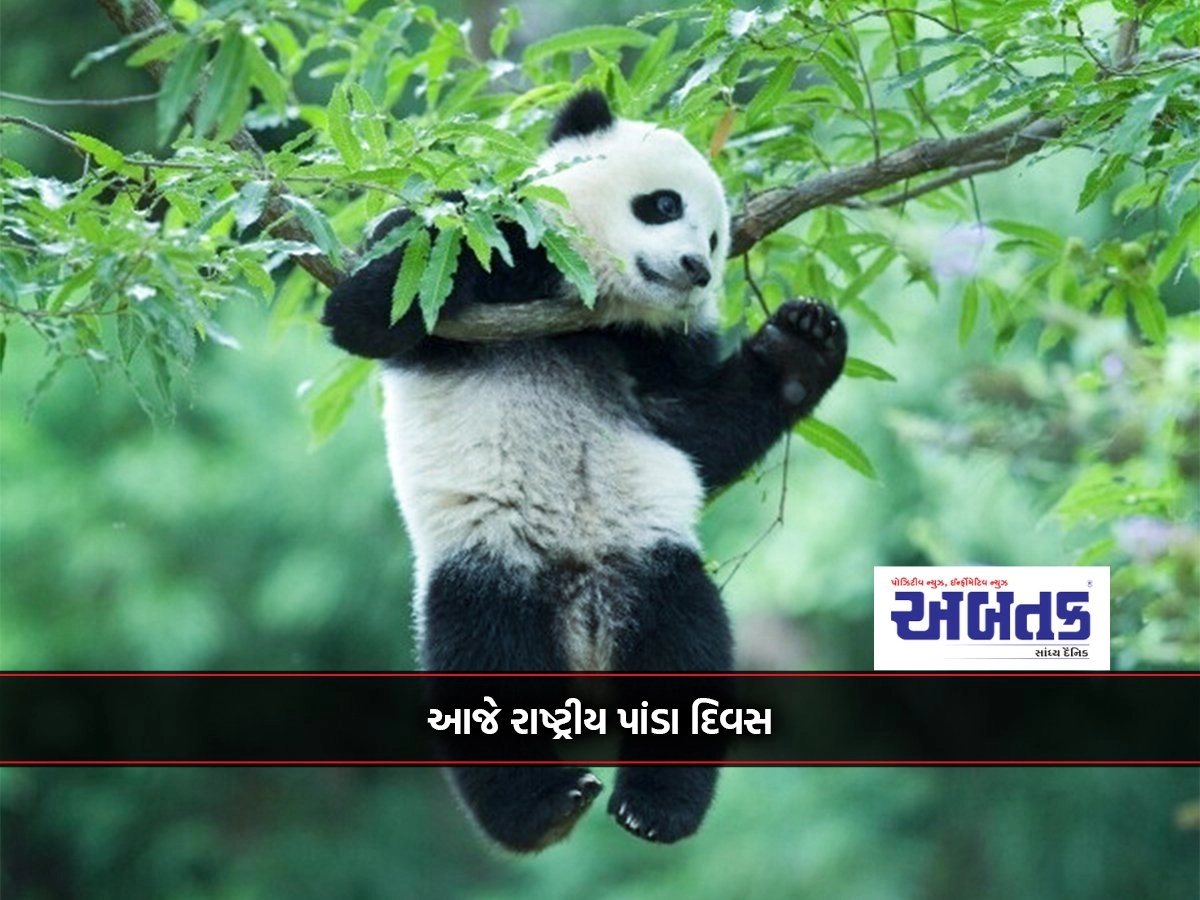 Pandas are complete vegetarians despite their heavy appetite: Only three thousand pandas in the world today