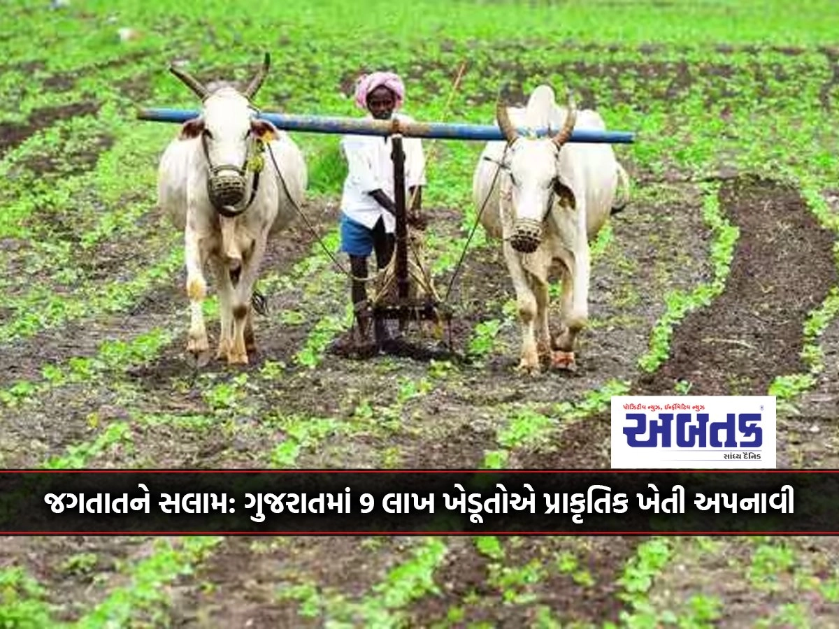 Salute to the world: 9 lakh farmers adopted organic farming in Gujarat