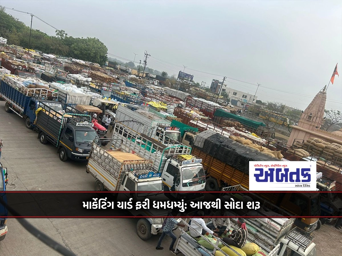 Marketing Yard Roars Again: Deals Start Today