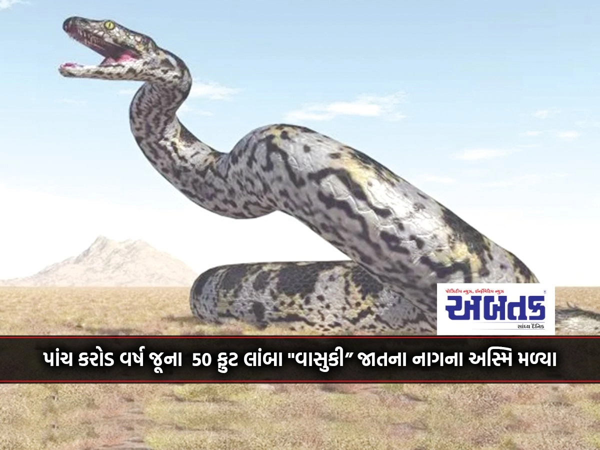 A 50-foot-long "Vasuki" serpent found in the aquifers of Kutch, about five million years old.