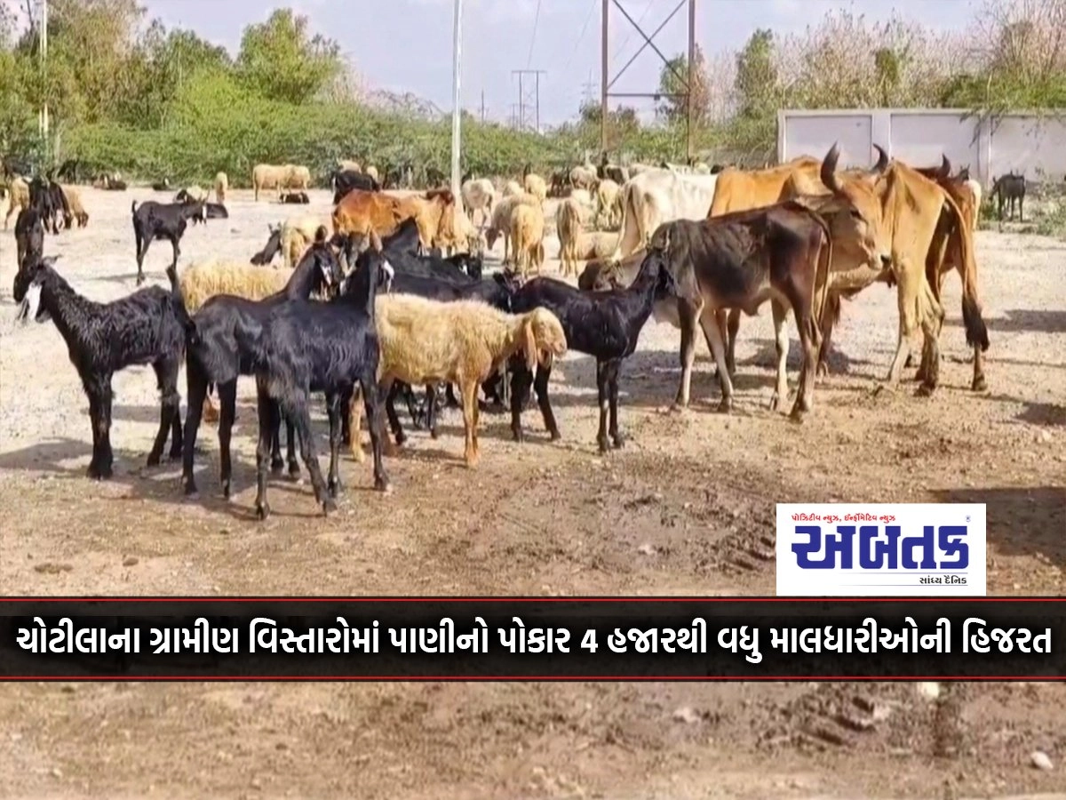 The cry of water in the rural areas of Chotila, the exodus of more than 4 thousand maldharis