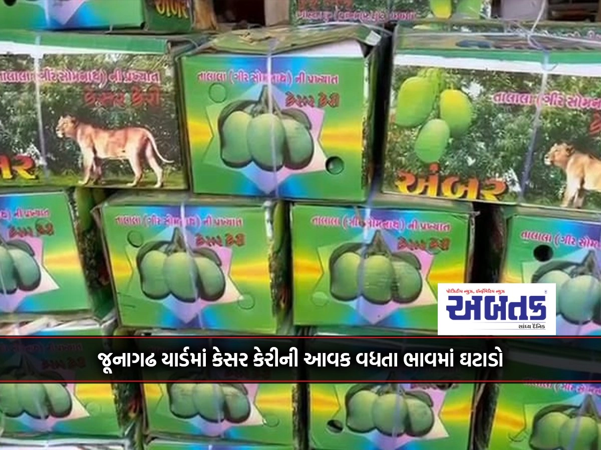 In Junagadh yard, saffron mangoes fall in price as revenue increases