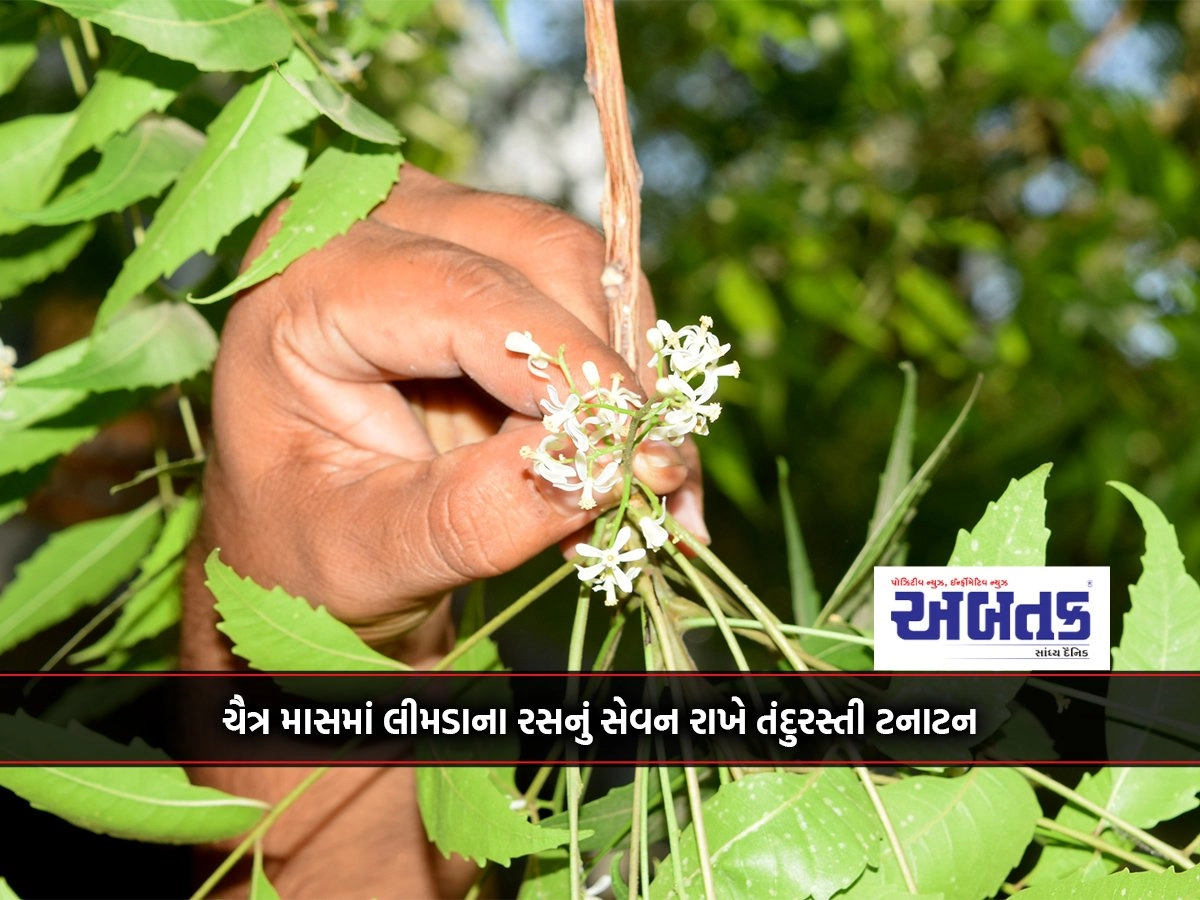 In the month of Chaitra, consumption of neem juice is good for health