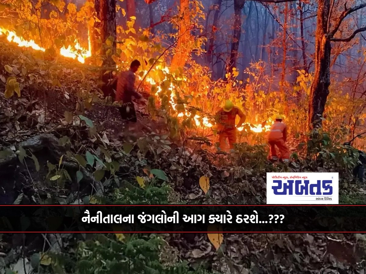 Forests burnt again in 47 places of Nainital..!!!