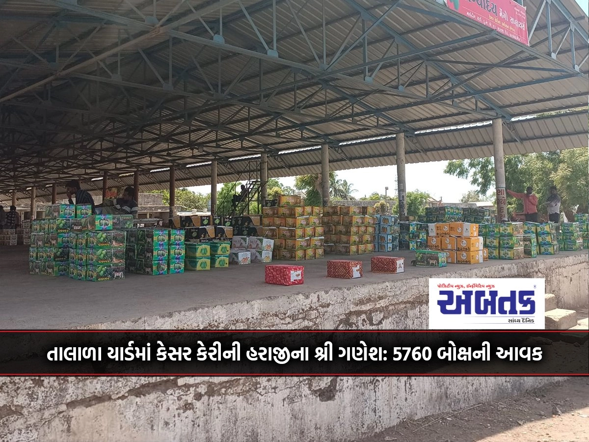 Shree Ganesh of Saffron Mango Auction in Talala Yard: Income of 5760 boxes