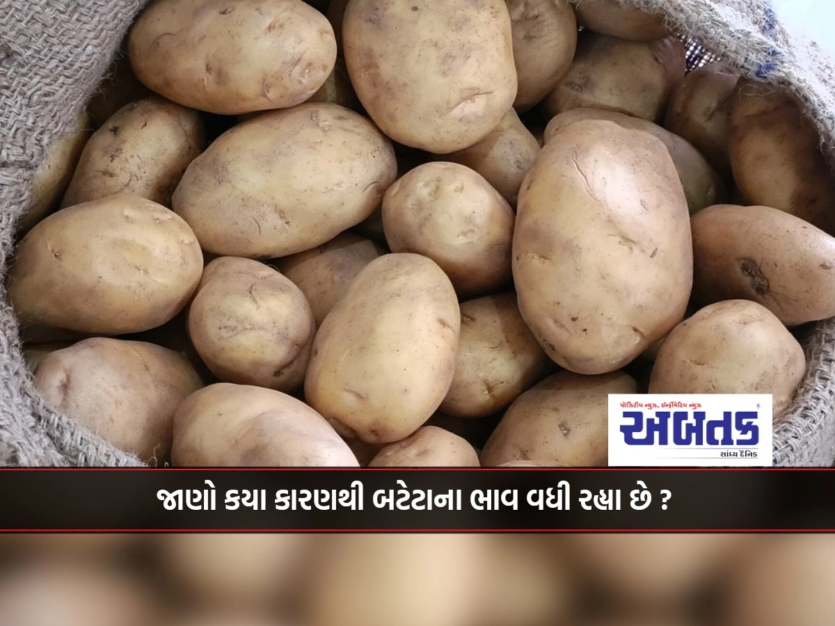 Junagadh: Know for what reason potato prices are increasing?