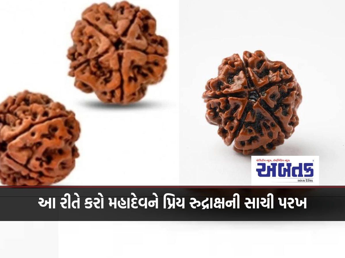 In this way do the true test of Rudraksha dear to Mahadev