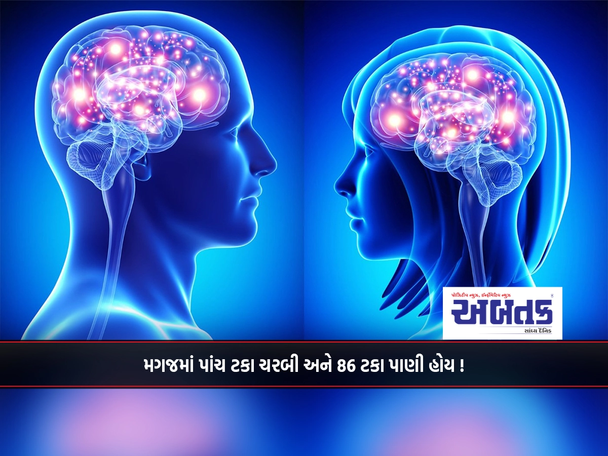 મગજમાં પાંચ ટકા ચરબી અને 86 ટકા પાણી હોય !