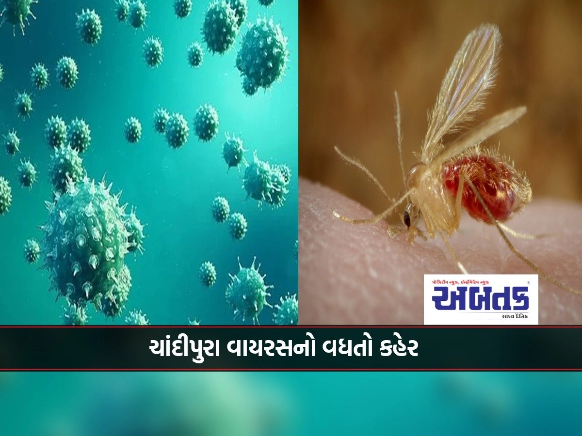 Sabarkantha: Increasing threat of Chandipura virus