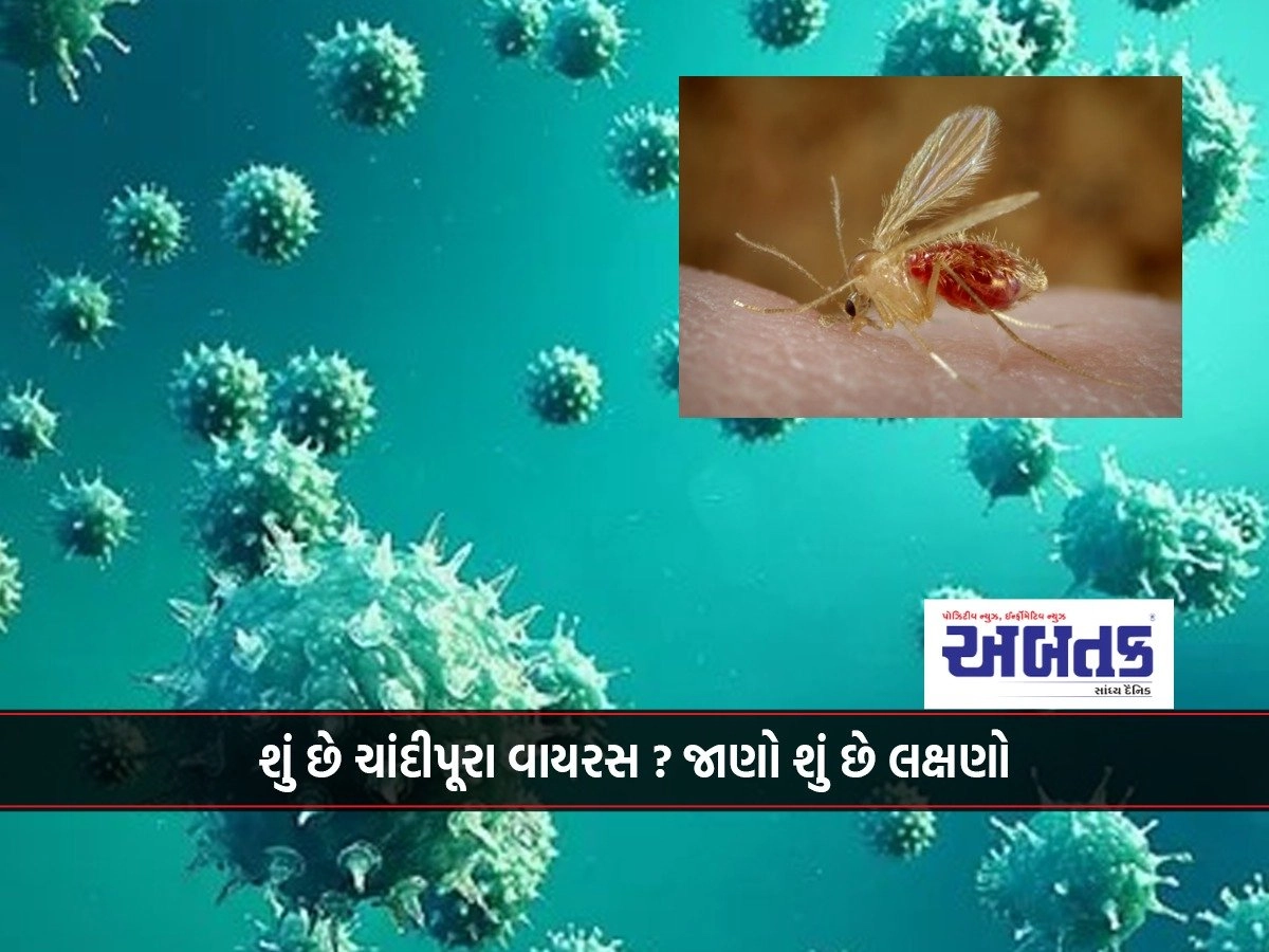 What is Chandipura virus? Know what the symptoms are