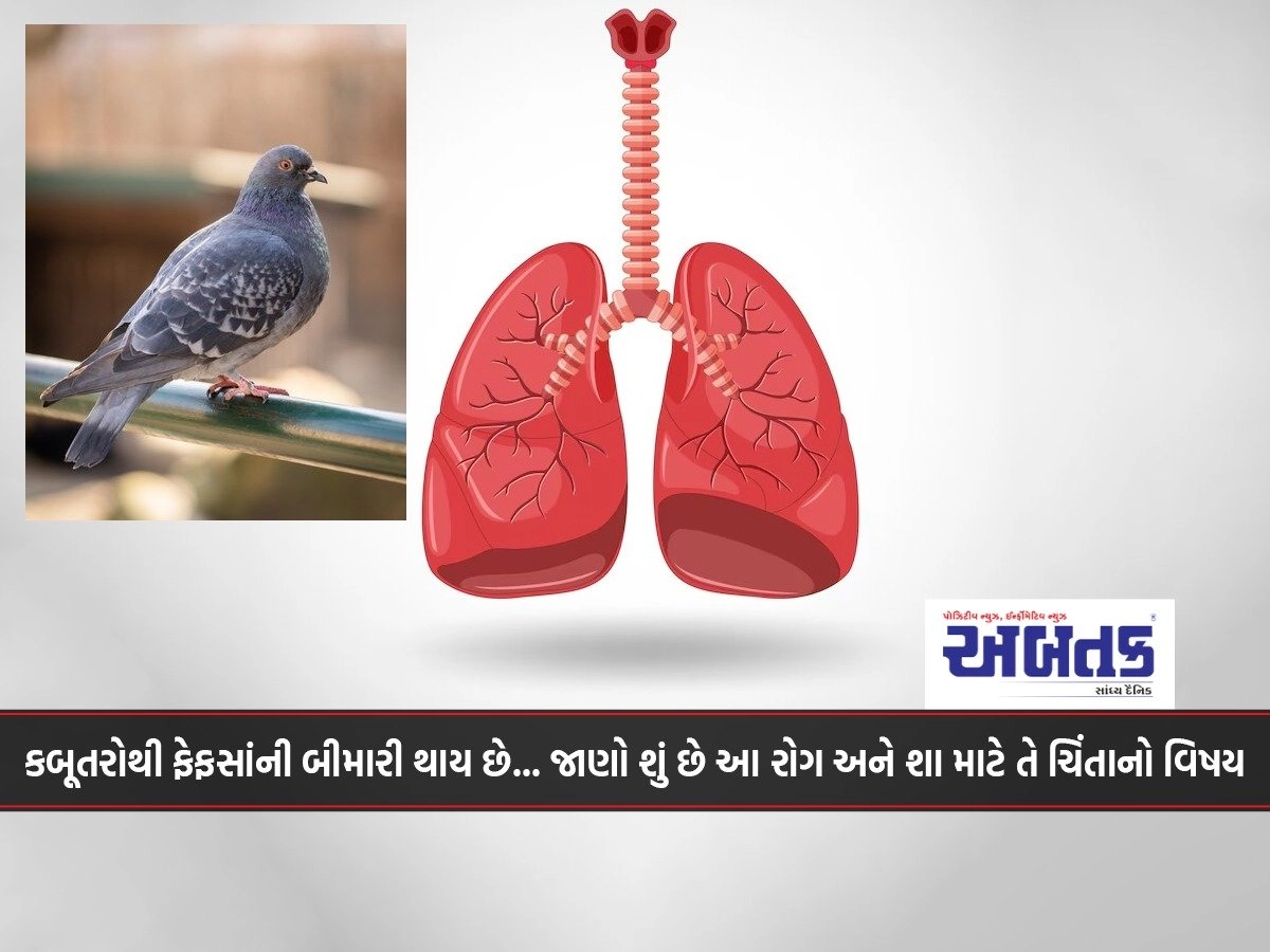 Pigeons get lung disease... Find out what this disease is and why it's a concern