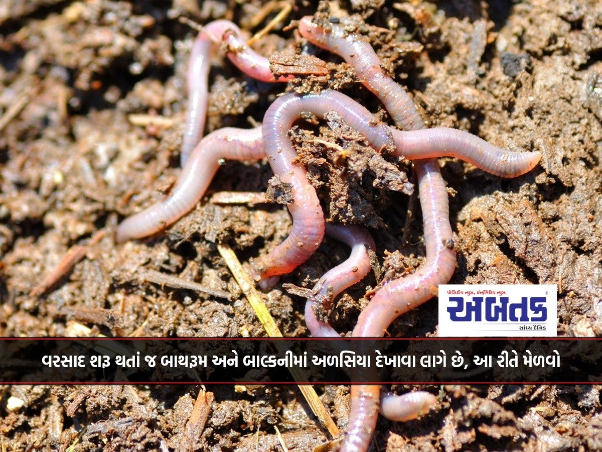 As soon as it starts raining, earthworms start appearing in bathrooms and balconies, get this way