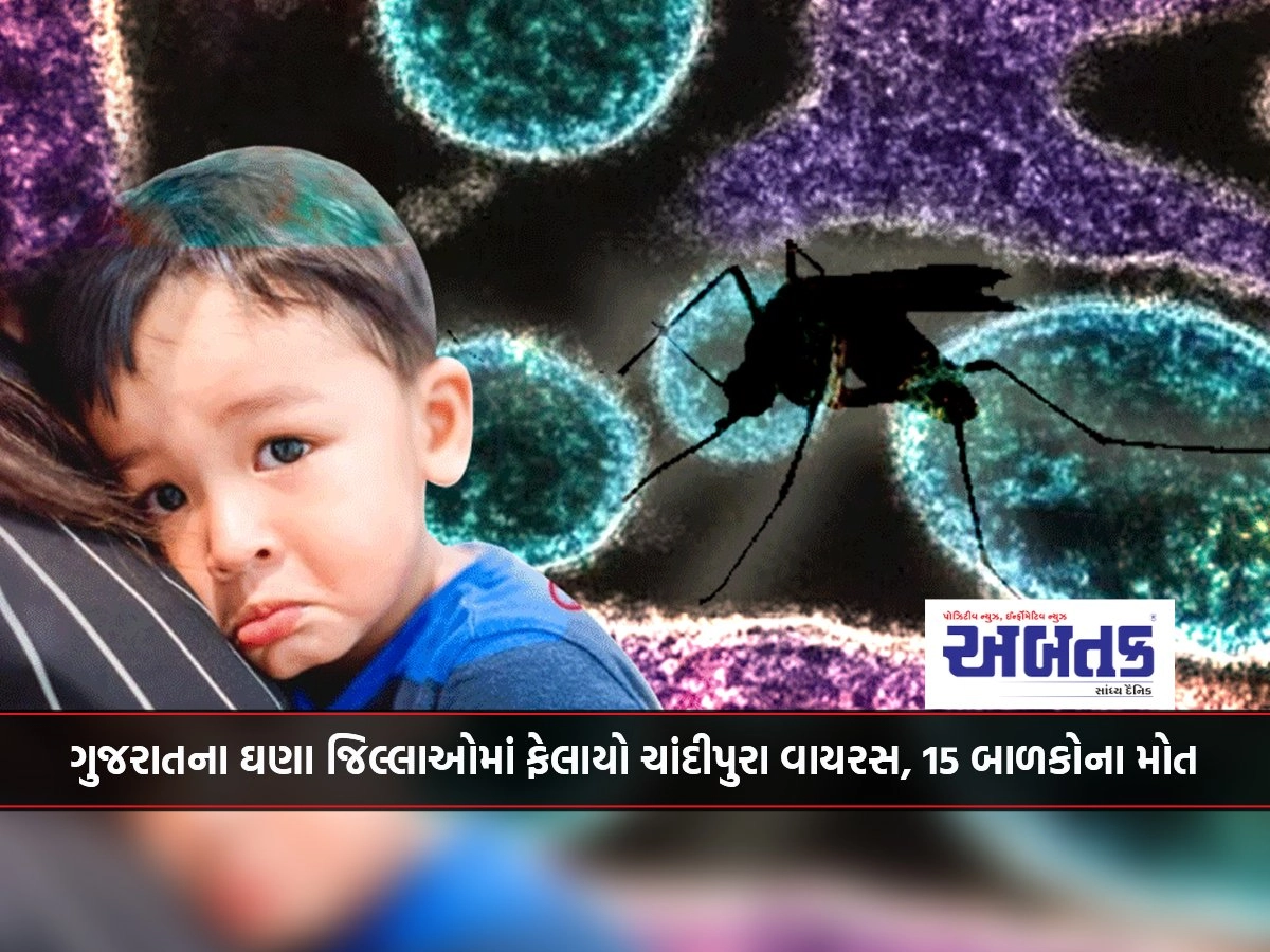 Chandipura Virus Spread In Many Districts Of Gujarat, 15 Children Died