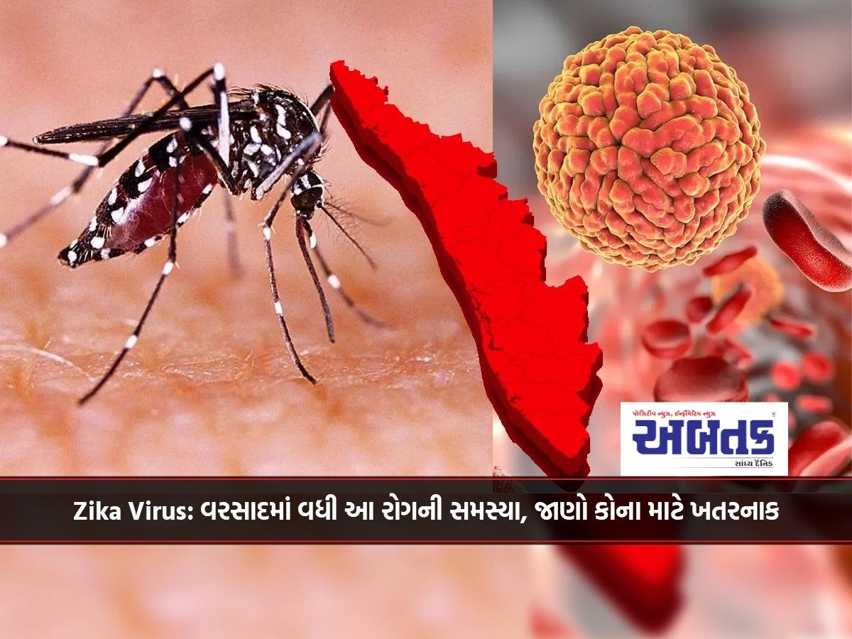 Zika Virus: The problem of this disease increased in the rain, know who it is dangerous for