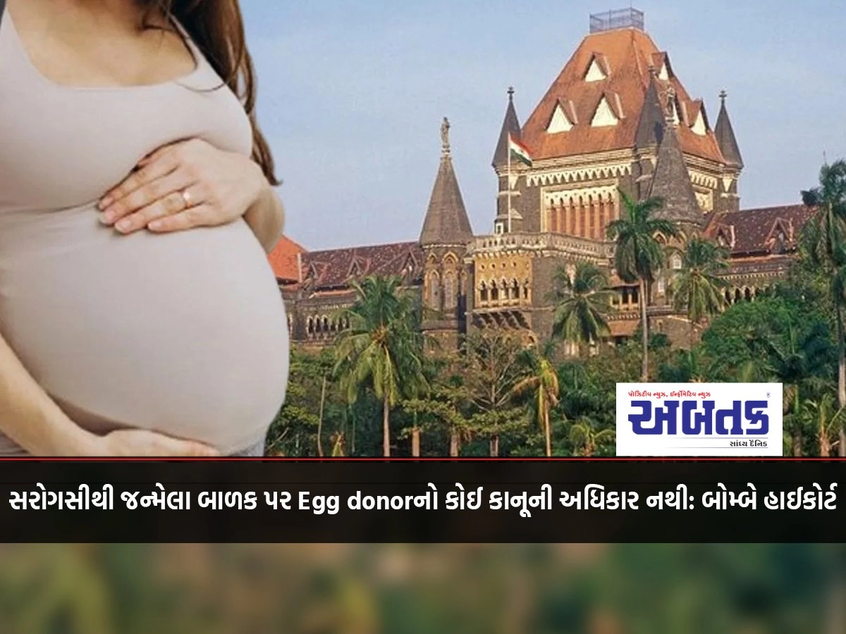 Egg donor has no legal right over child born through surrogacy: Bombay High Court