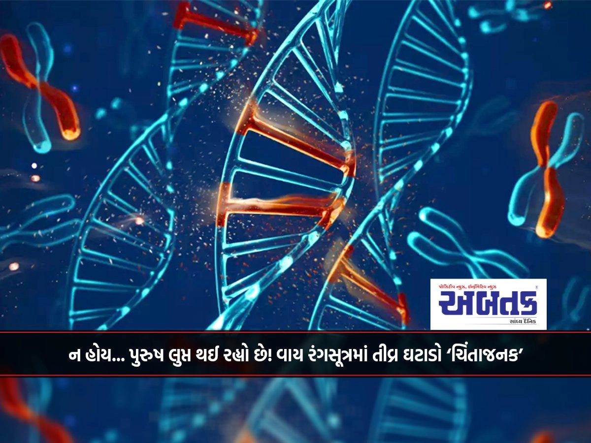 ન હોય... પુરુષ લુપ્ત થઈ રહ્યો છે! વાય રંગસૂત્રમાં તીવ્ર ઘટાડો ‘ચિંતાજનક’