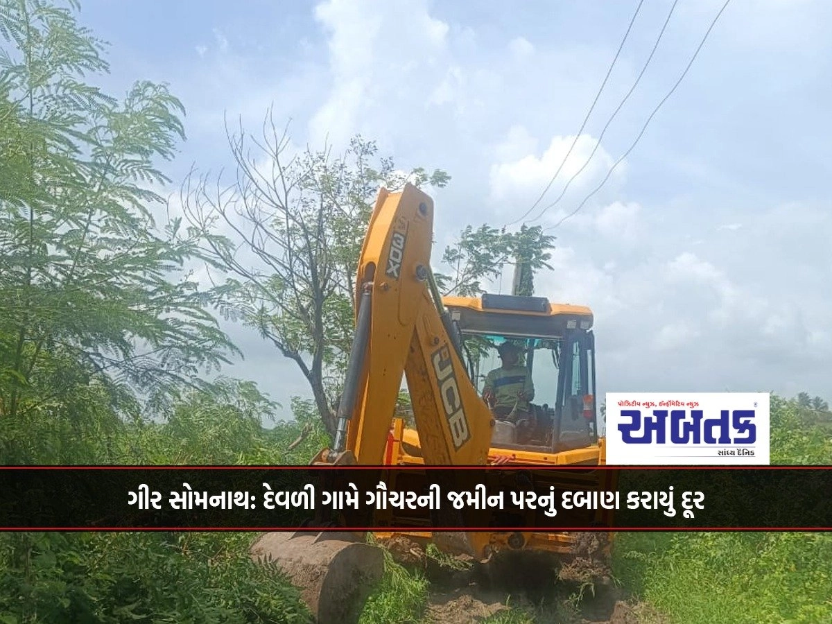 Gir Somnath: Devli Village Removed Pressure On Gauchar Land