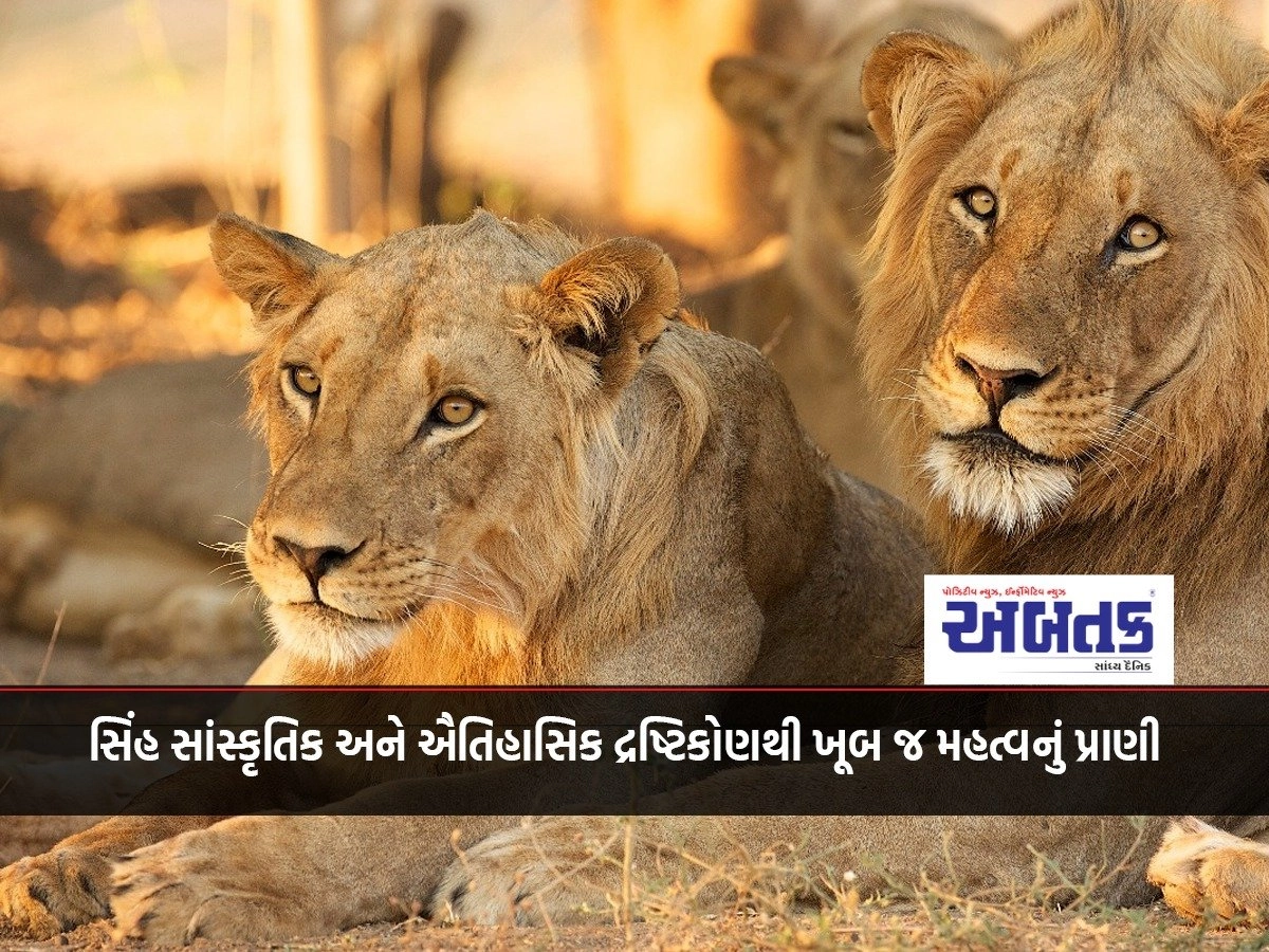 World Lion Day: Lion is a very important animal from cultural and historical point of view