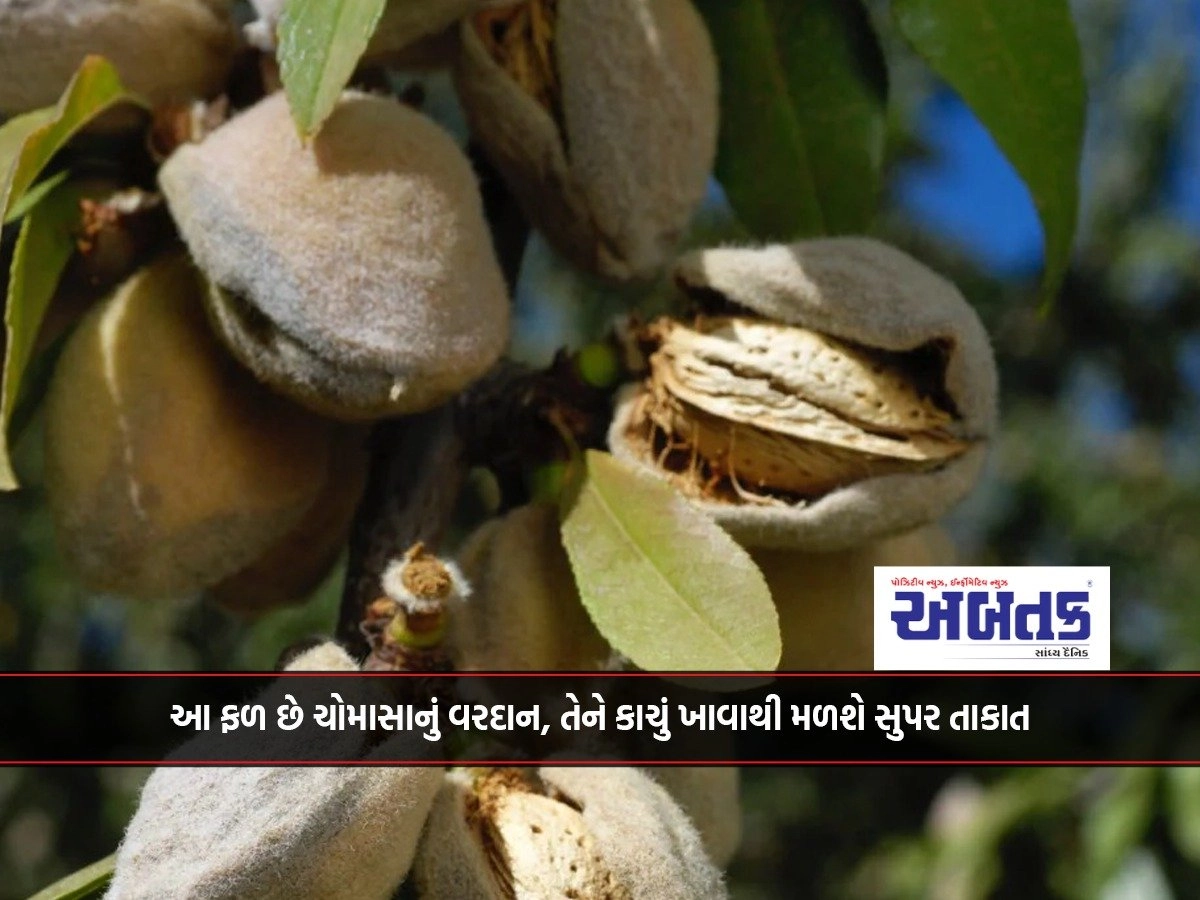 This fruit is the boon of monsoon, eating it raw will give you super strength